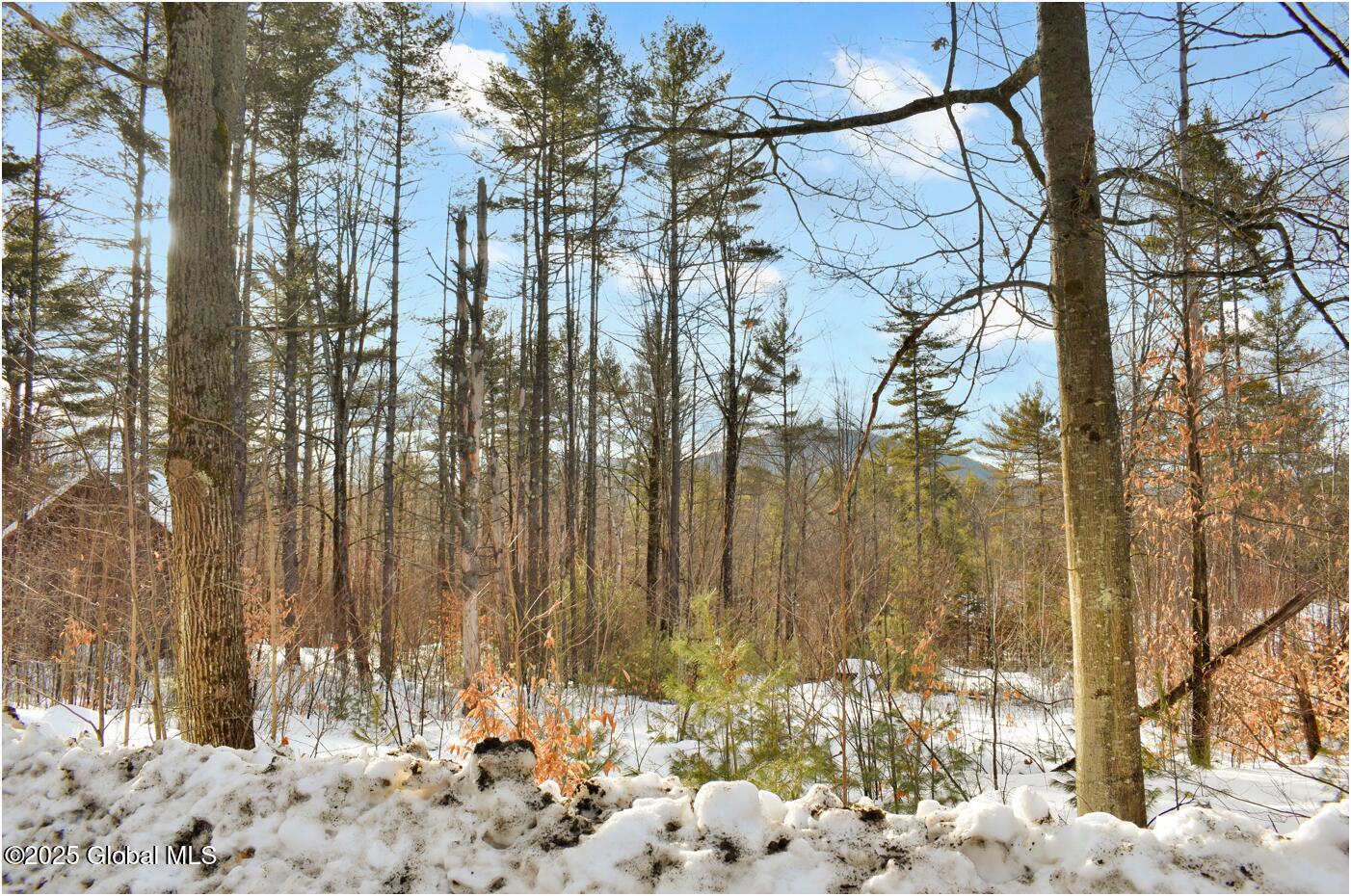 L91 Highview Lane #LOT 7, Wevertown, New York image 2