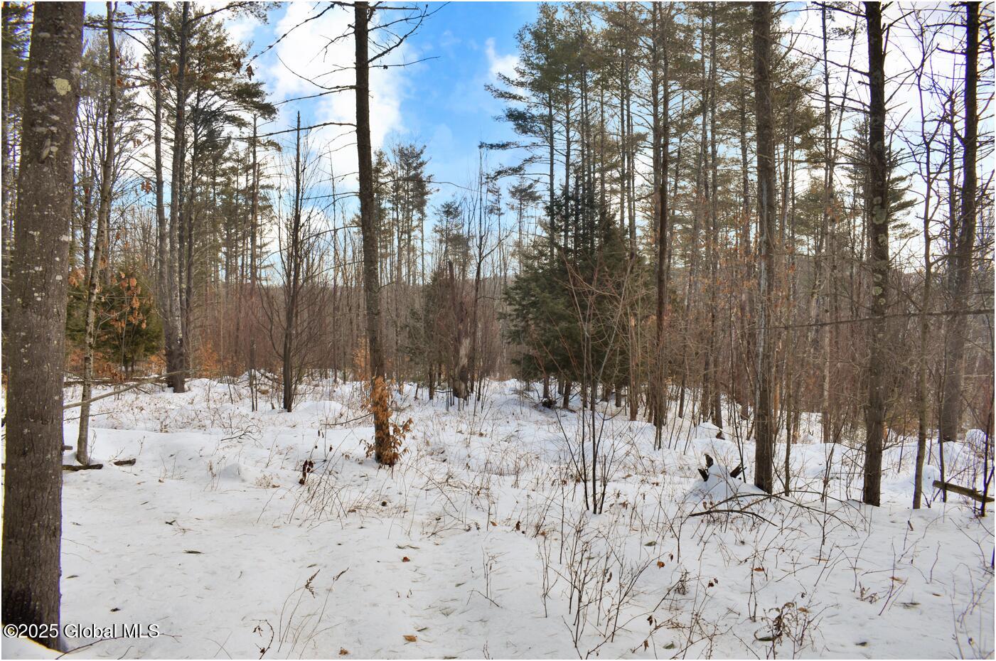 L91 Highview Lane #LOT 7, Wevertown, New York image 10