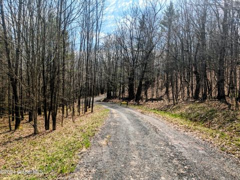 Vacant Land For Sale - L17 Birchwood Drive<br/> Windham, NY 12496