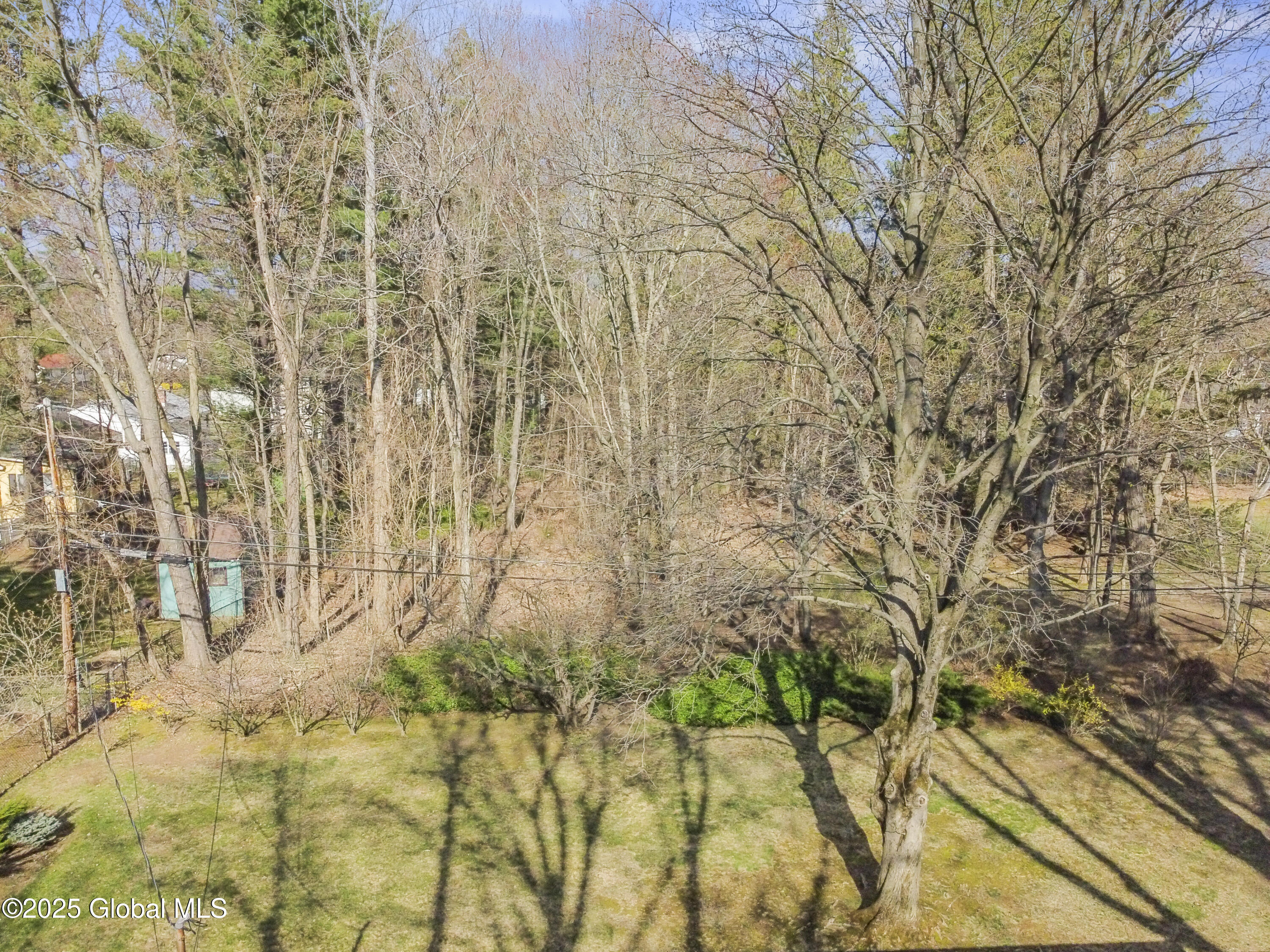 20 St Clair Drive, Delmar, New York image 29