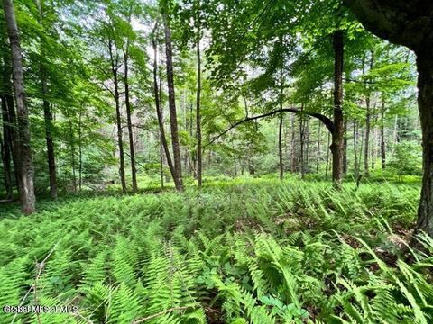 Photo of L 67.1 McGregor Road #Lot 2, Gloversville, NY 12078 (MLS # 202620102)