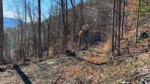 Photo of 0 Gorge Road, Middleburgh, NY 12122 (MLS # 202611710)