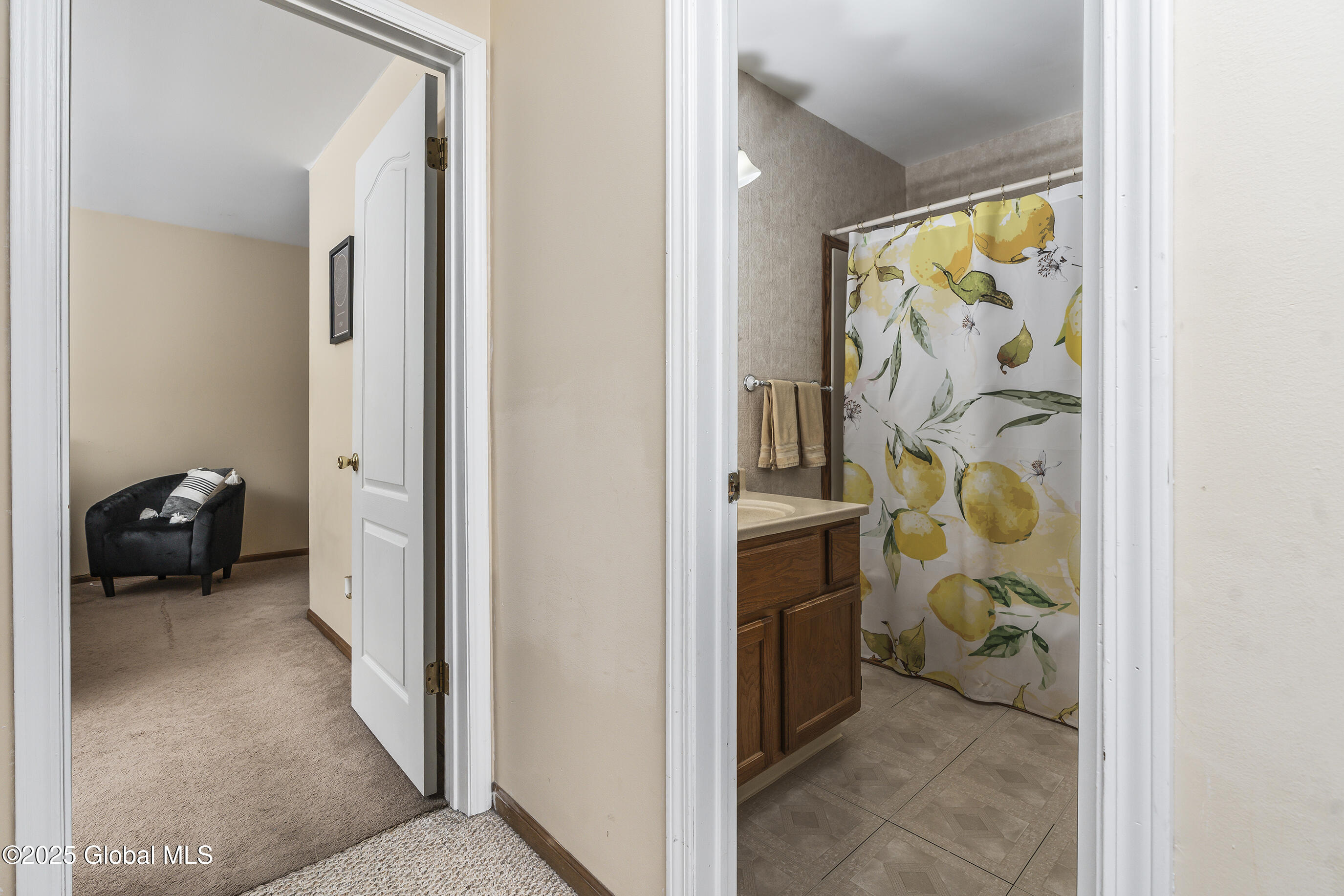 3 Woodside Drive, Albany, New York image 21