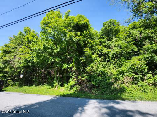 L13 Brickyard Road, New Lebanon, New York image 3