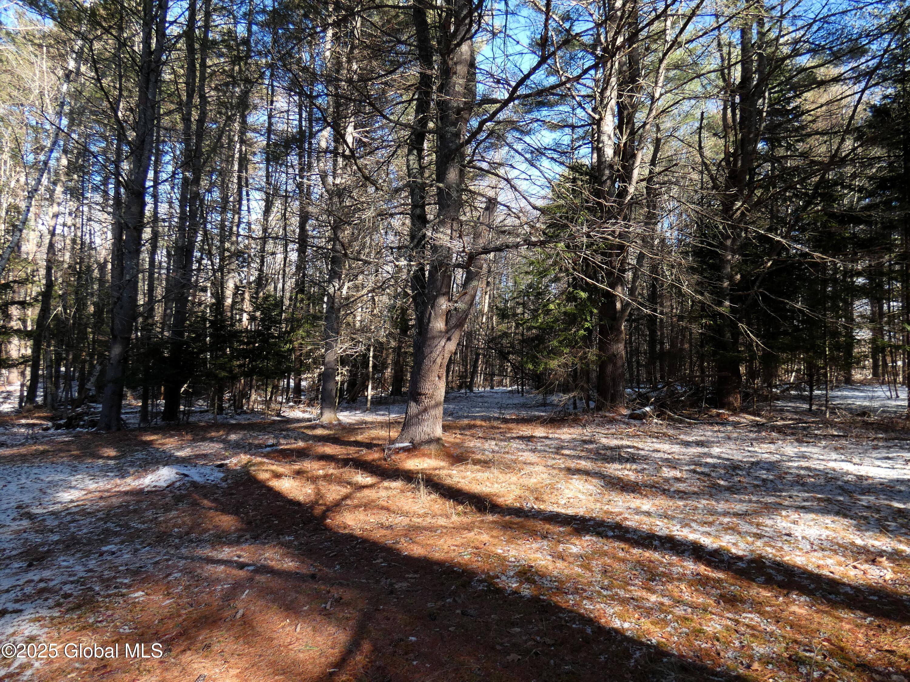 24 William J Baker Road, Johnsburg, New York image 30