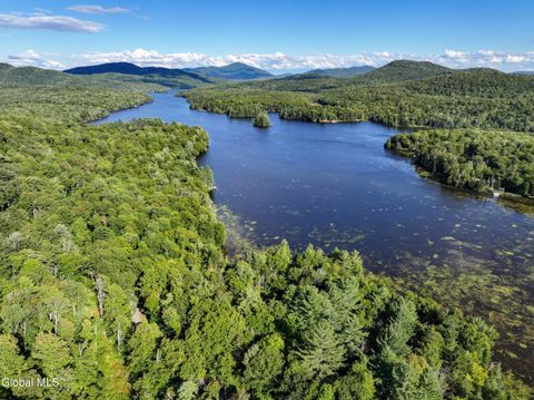 Vacant Land For Sale - 427 Woodys Road Rd<br/> Newcomb, NY 12852