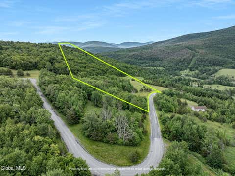 Vacant Land For Sale - L19.2 Overlook Drive<br/> Prattsville, NY 12452