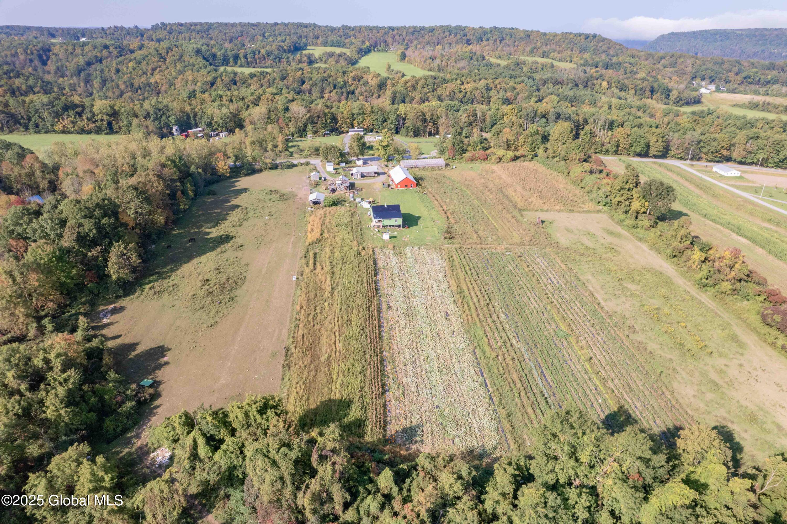 329 Anderson Road, Sprakers, New York image 6