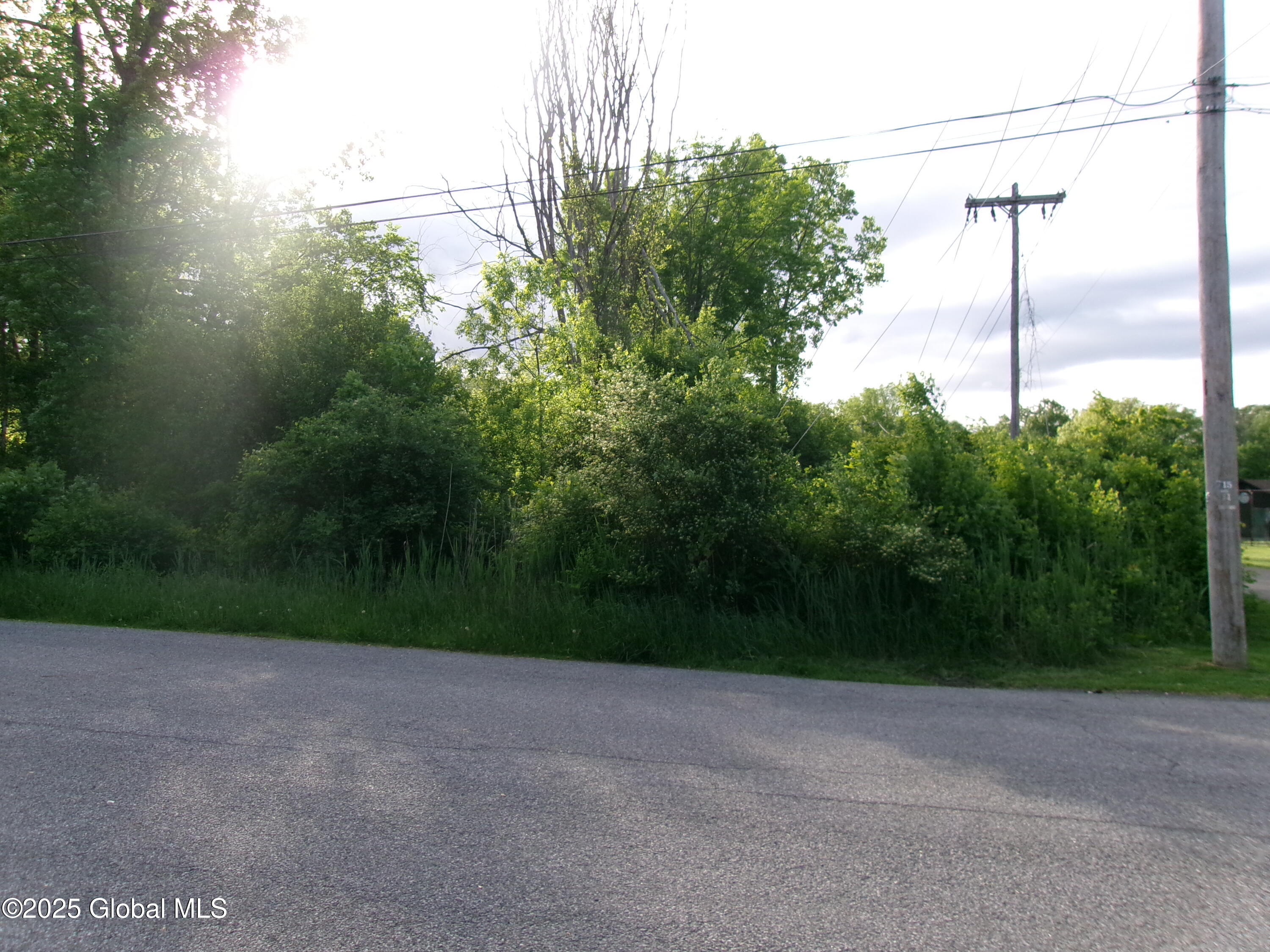 41 Amelia Drive, Schenectady, New York image 32