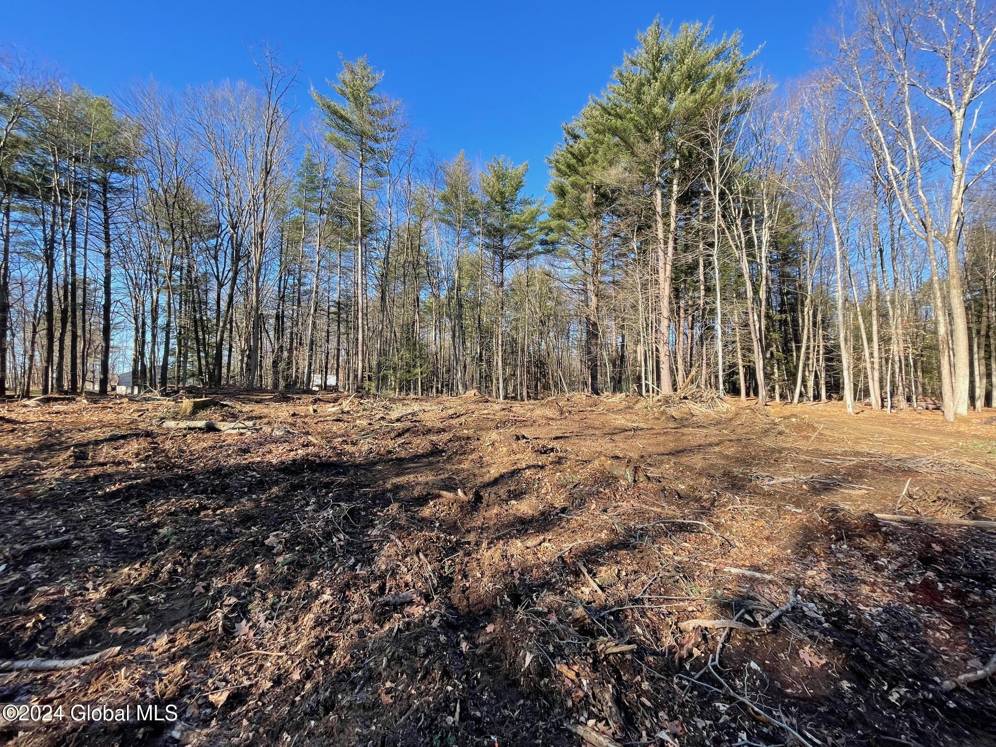 L19.4 Brookeline Rd, Ballston Lake, New York image 1