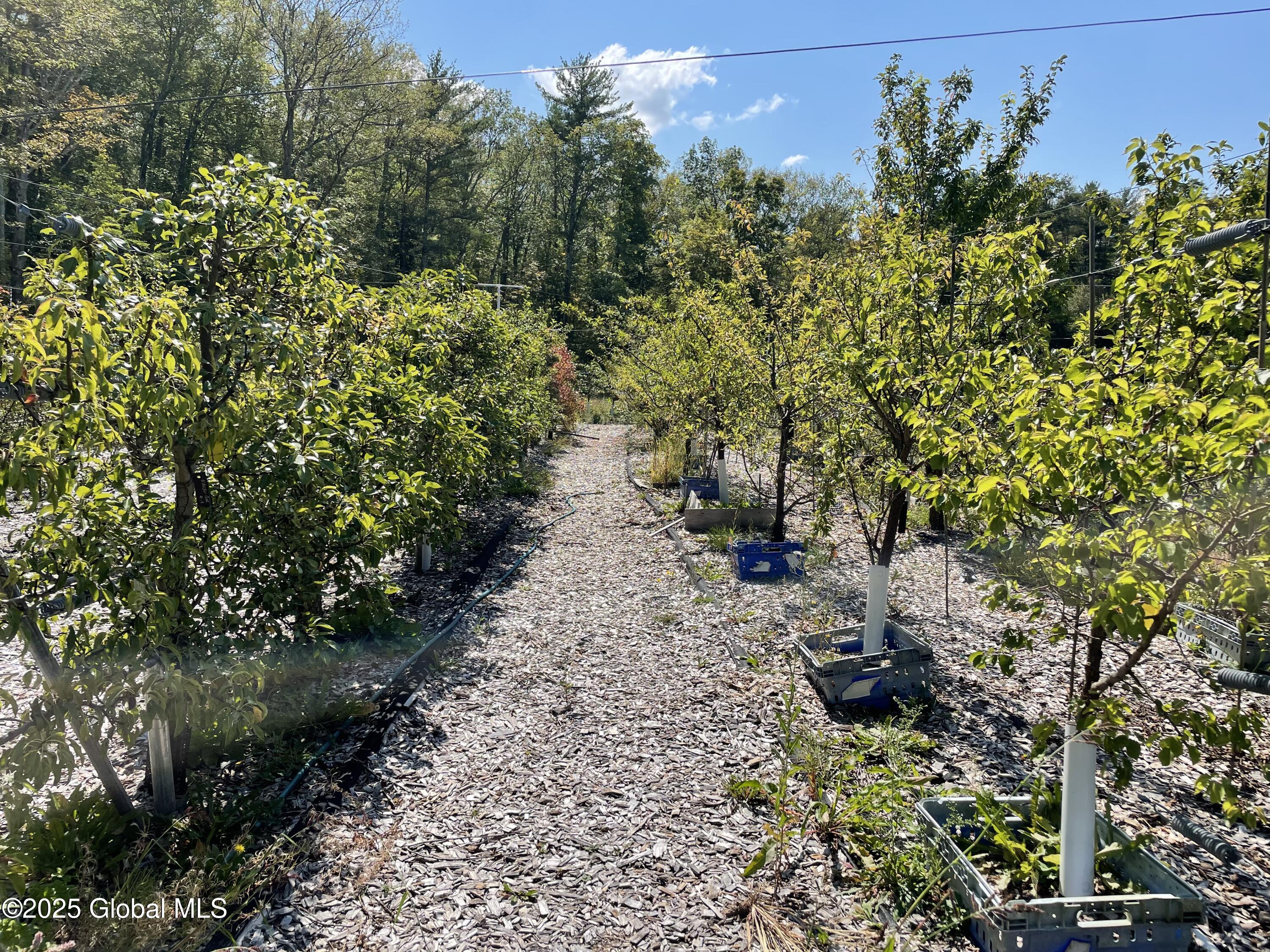 138 Vienna Woods Road, Purling, New York image 13