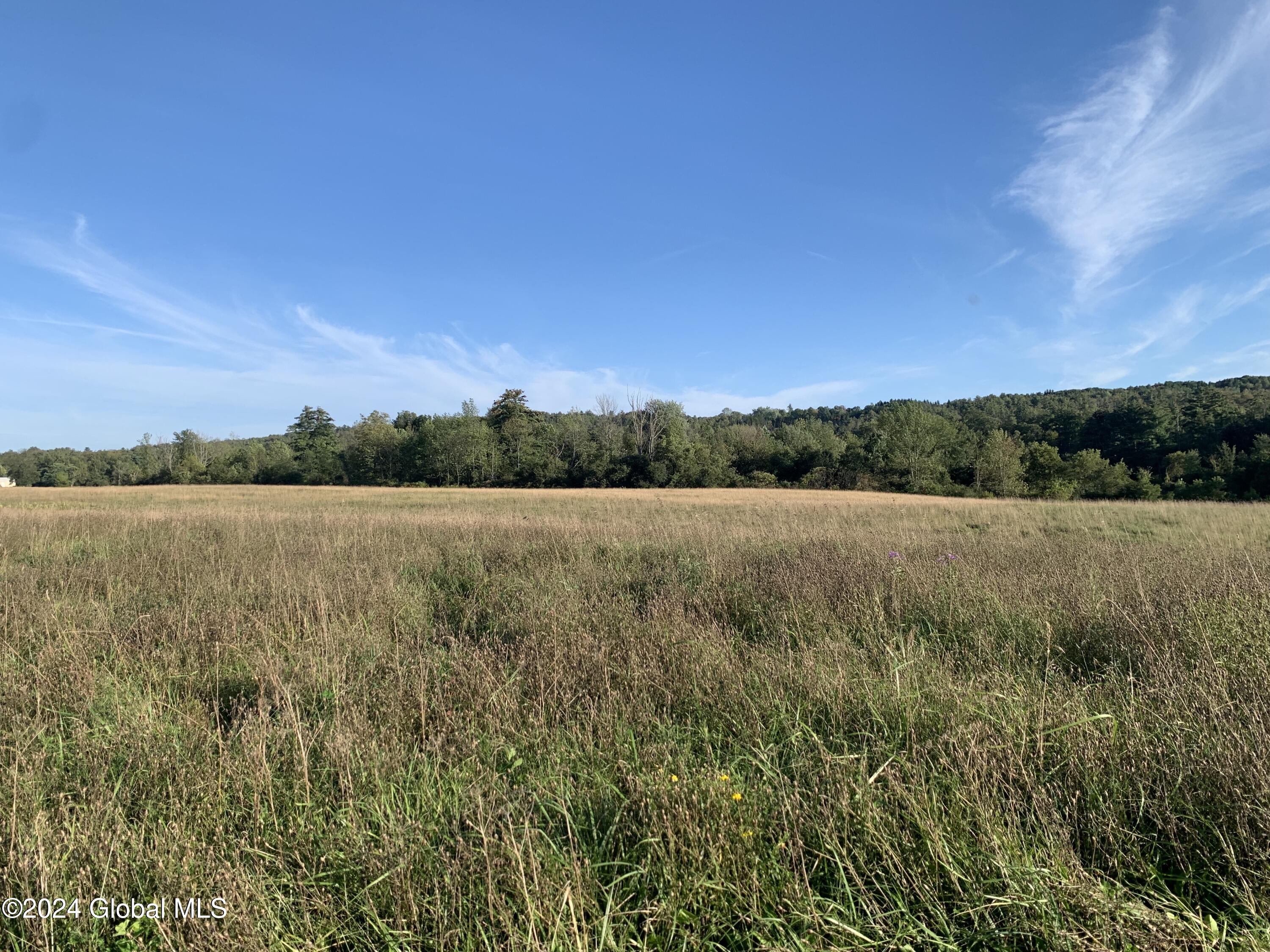 Lot 4 Ny 30, Esperance, New York image 7