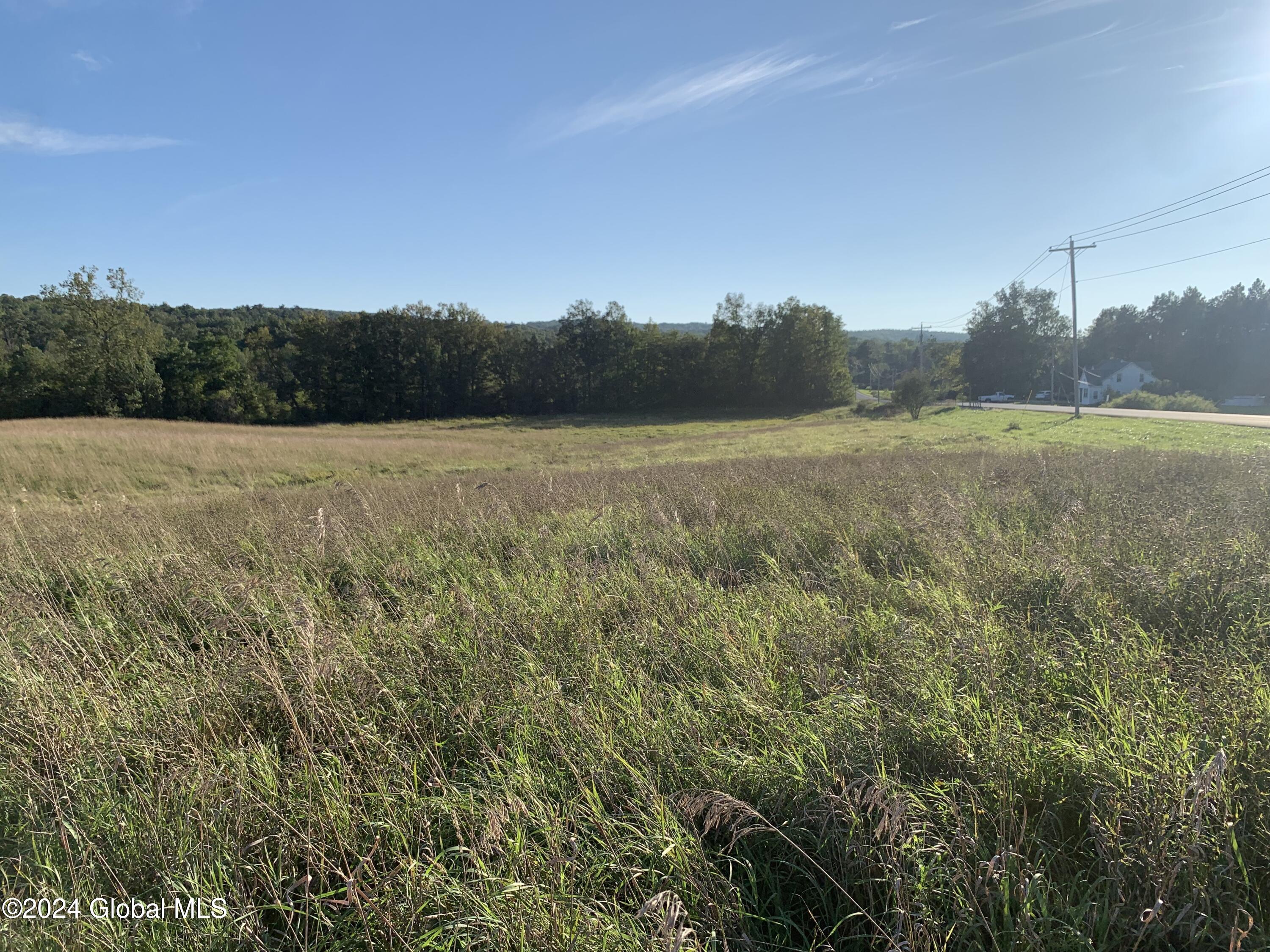 Lot 4 Ny 30, Esperance, New York image 4