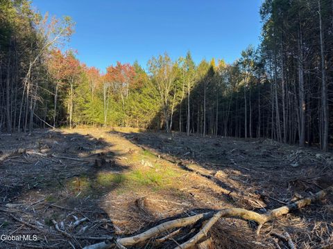 Vacant Land For Sale - L1.112 Kipple Road<br/> Rensselaer County, Sand Lake, NY 12153