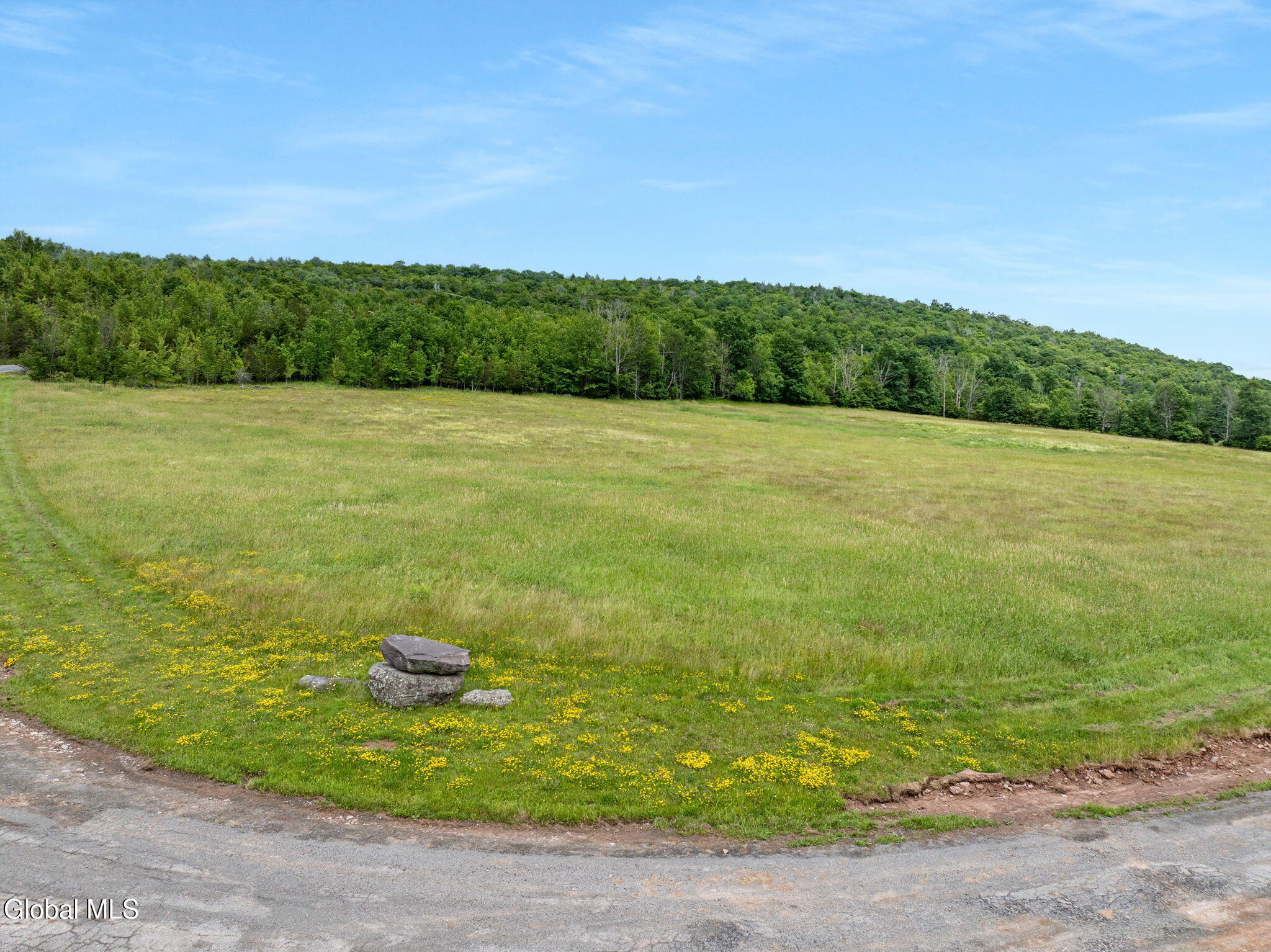 L10 Overlook Drive
