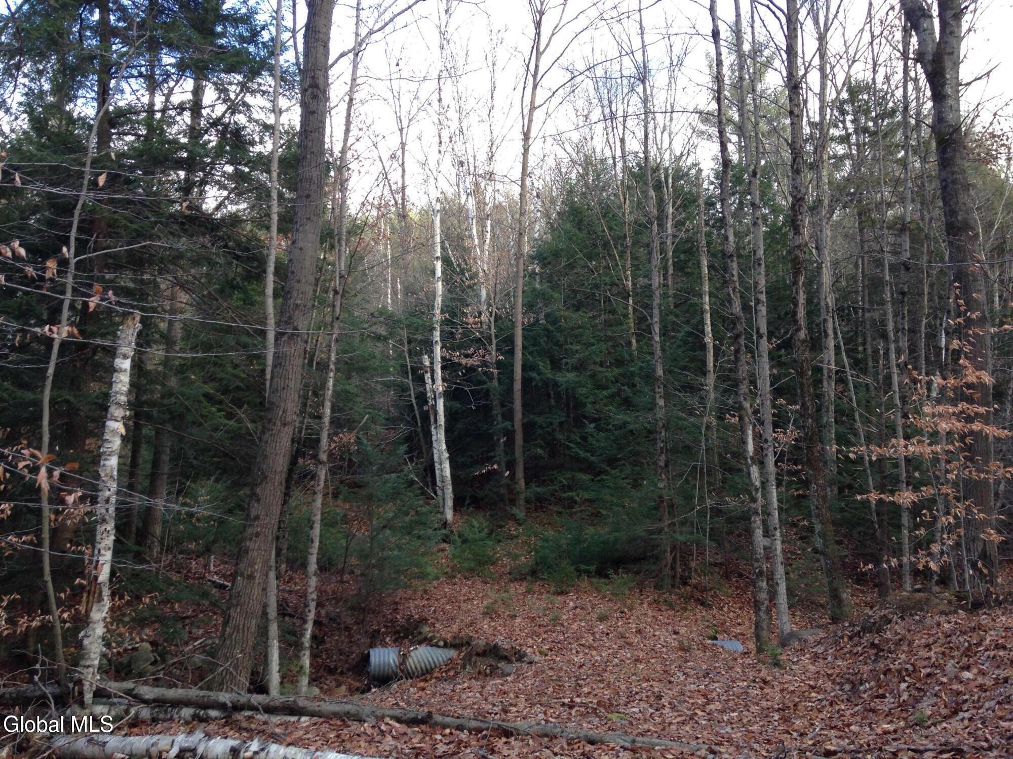 20 Hall Mountain Road
