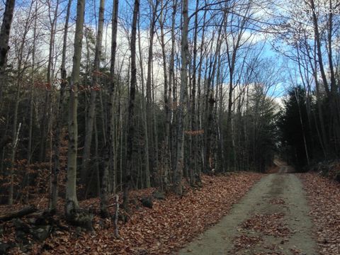 Vacant Land For Sale - 20 Hall Mountain Road<br/> Warrensburg, NY 12885