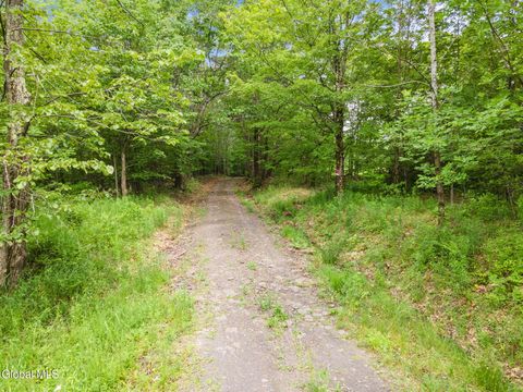 Vacant Land For Sale - 255 Lassen Road<br/> Middleburgh, NY 12122