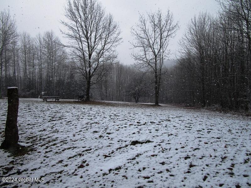 136 Beards Hollow Road, Richmondville, New York image 26