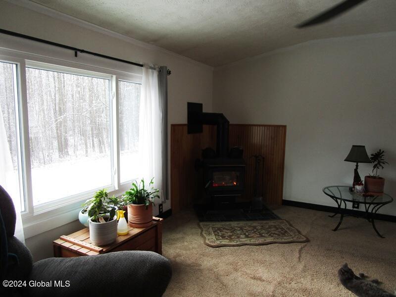136 Beards Hollow Road, Richmondville, New York image 11