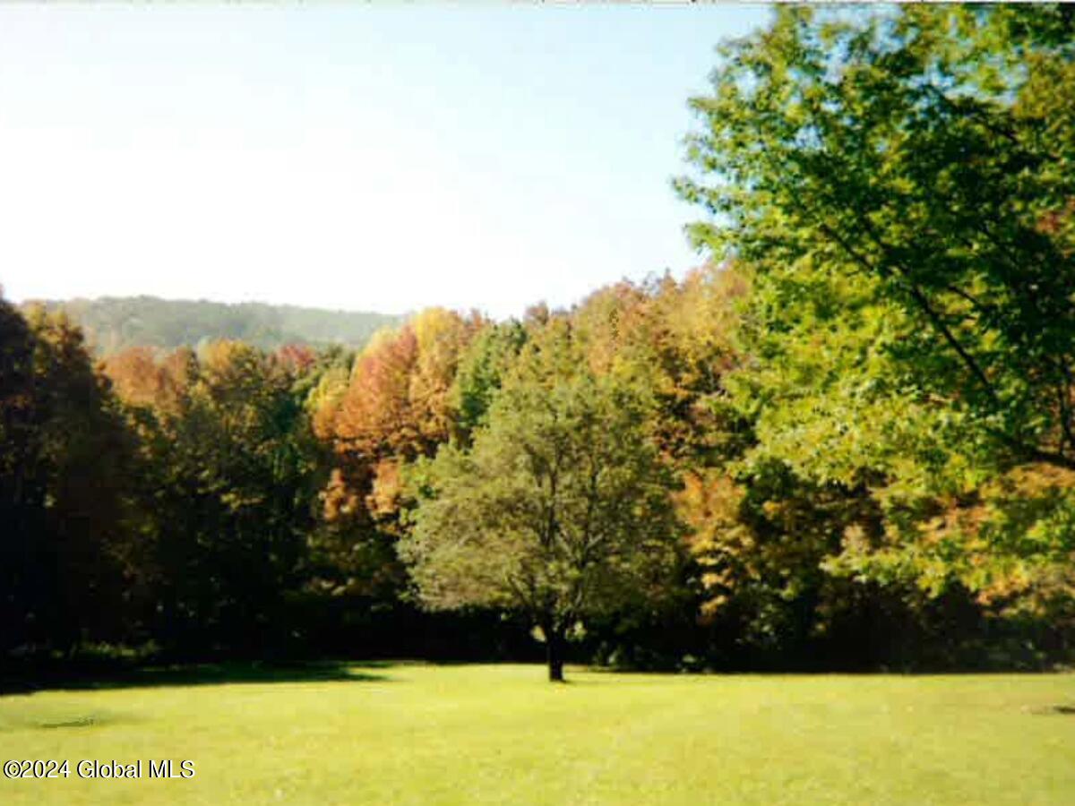 136 Beards Hollow Road, Richmondville, New York image 41