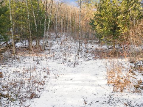 Vacant Land For Sale - 163 Armlin Road<br/> Middleburgh, NY 12122