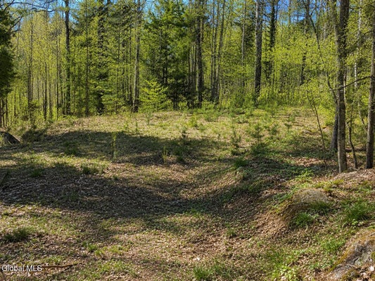 18 HIGHVIEW LANE # LOT 1, WEVERTOWN, NY 12886 - Image 660d98a4cbf6cbbff1cec17d6ee1cde4/1726585456