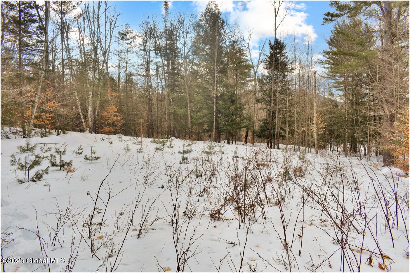 18 Highview Lane #LOT 1, Wevertown, New York image 9