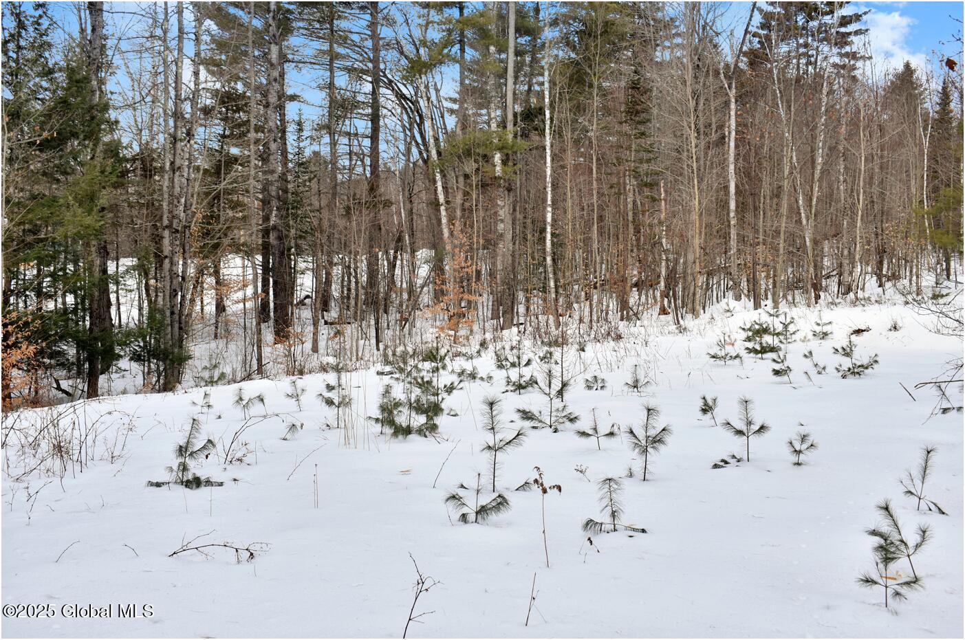 18 Highview Lane #LOT 1, Wevertown, New York image 12