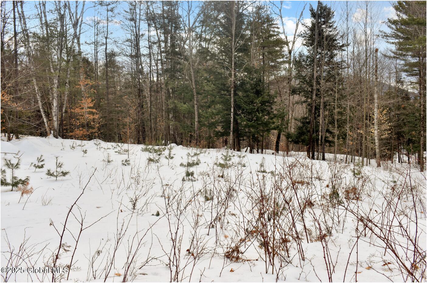 18 Highview Lane #LOT 1, Wevertown, New York image 8