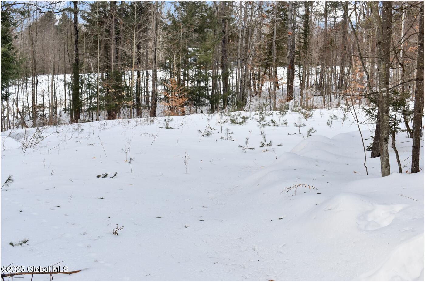 18 Highview Lane #LOT 1, Wevertown, New York image 11