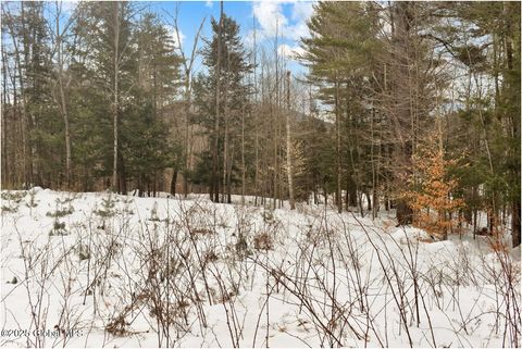 Vacant Land For Sale - 18 Highview Lane #LOT 1<br/> Wevertown, NY 12886