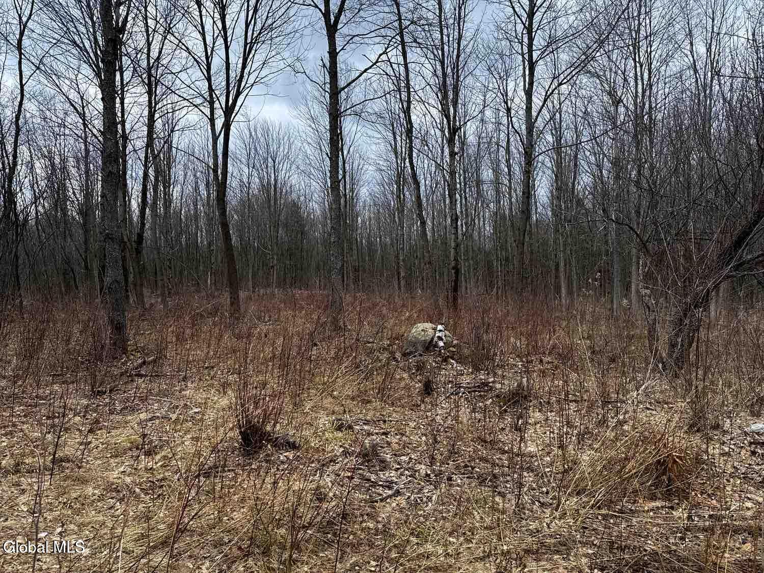 L11.4 Military Turnpike