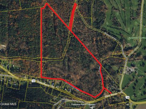 Photo of 111 Blossom Hill Road, Coeymans, NY 12143 (MLS # 202615771)