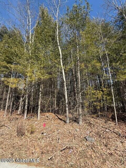 24 Sanford Street, Warrensburg, New York image 2