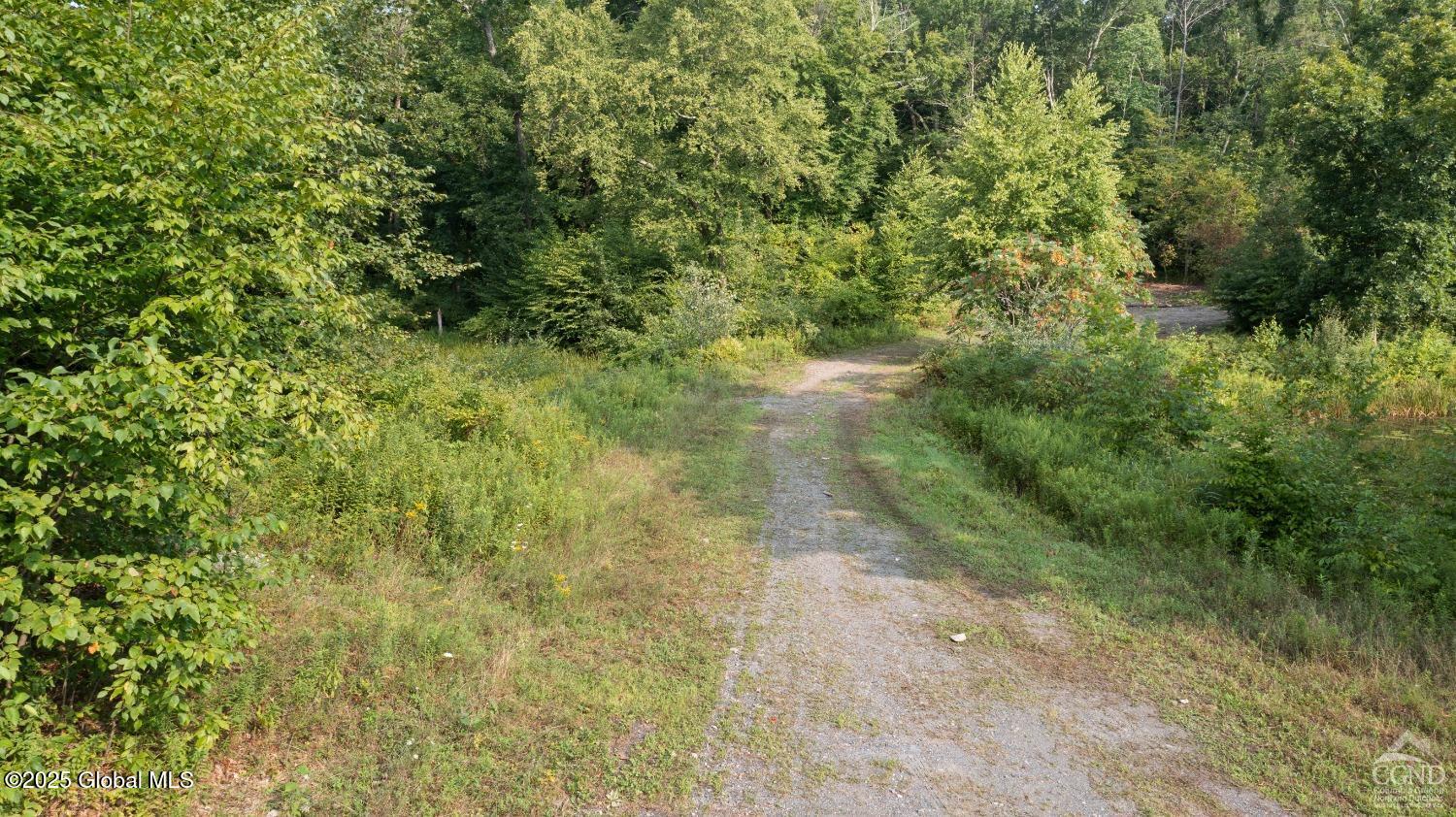 L27.5 Birch Hill Road, Copake, New York image 22