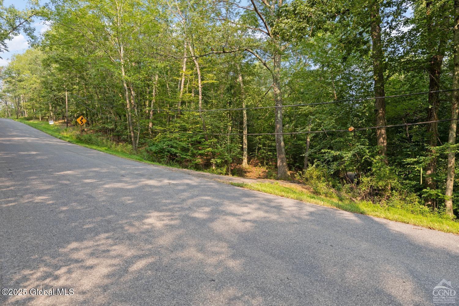 L27.5 Birch Hill Road, Copake, New York image 17