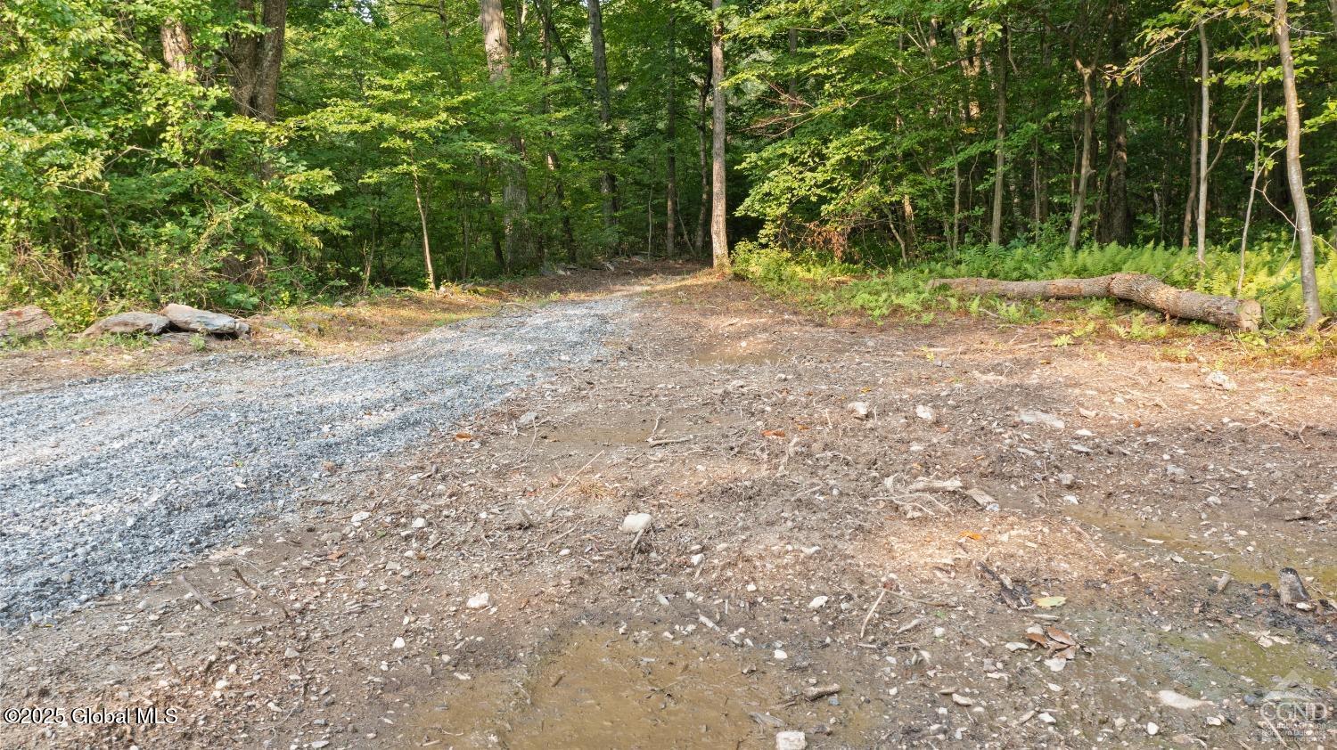 L27.5 Birch Hill Road, Copake, New York image 23