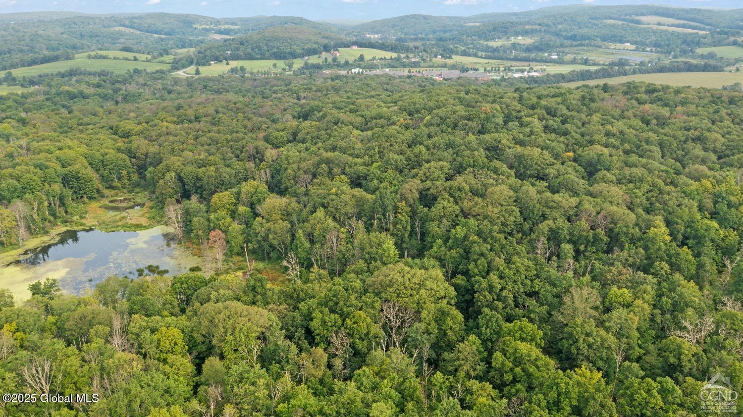 L27.5 Birch Hill Road, Copake, New York image 19