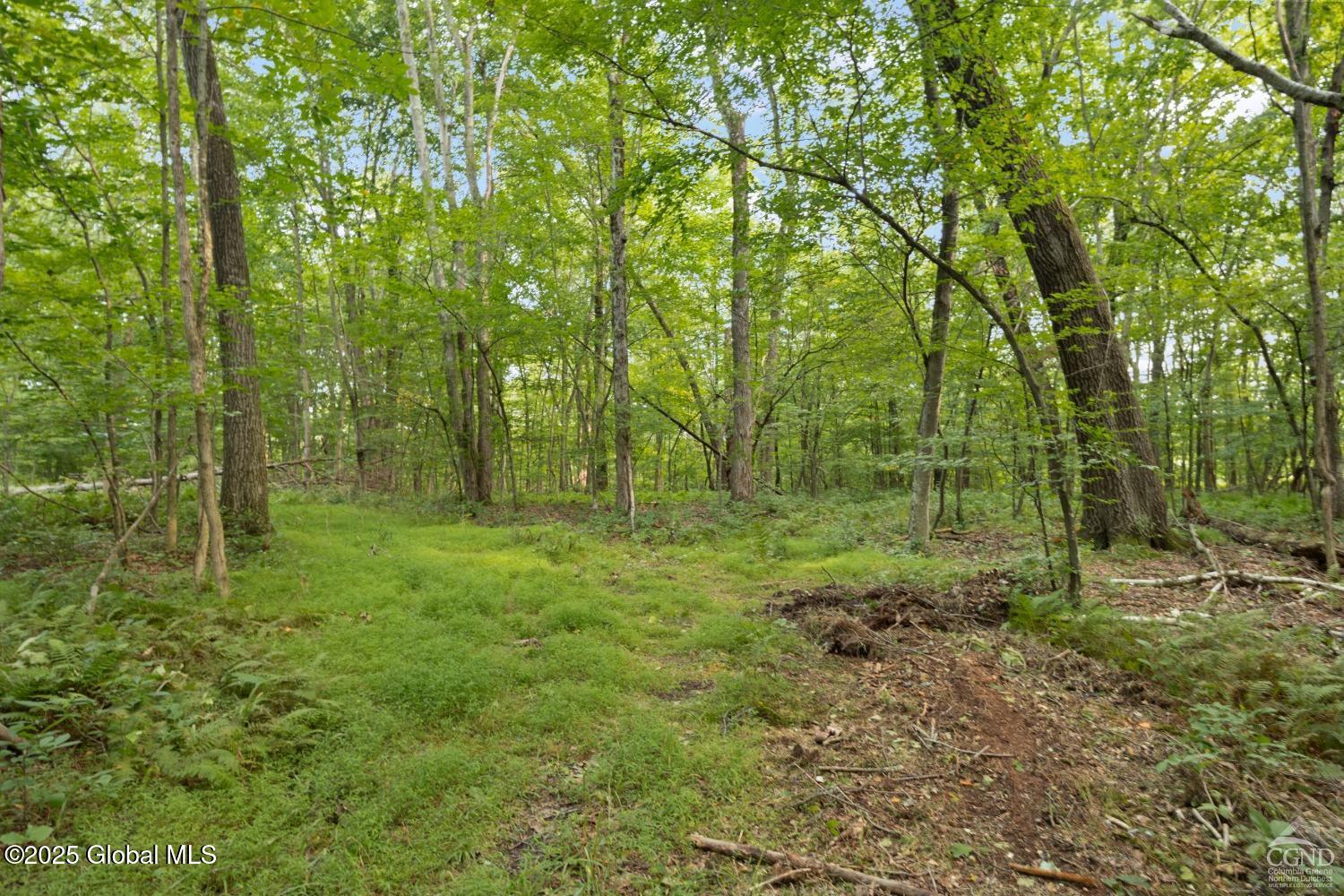 L27.5 Birch Hill Road, Copake, New York image 16