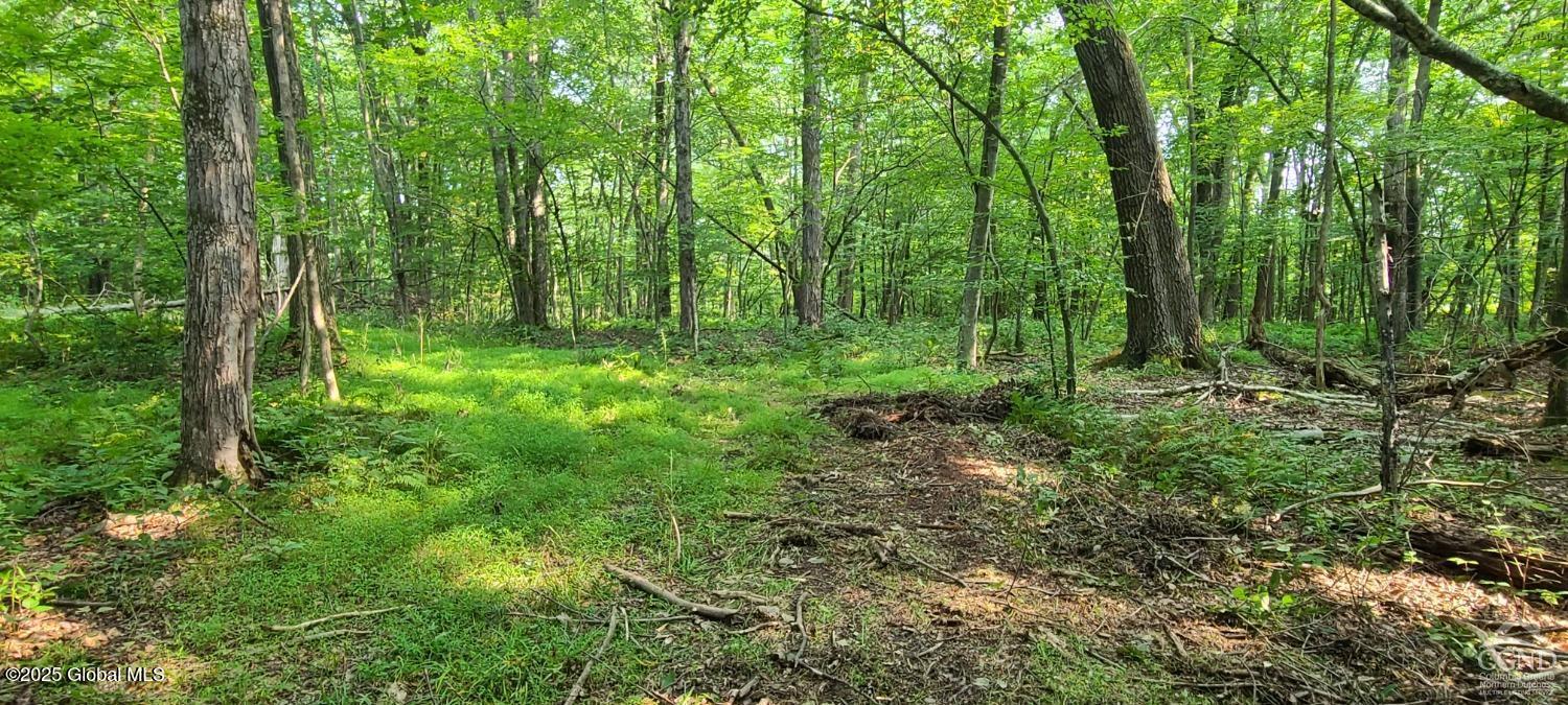 L27.5 Birch Hill Road, Copake, New York image 2