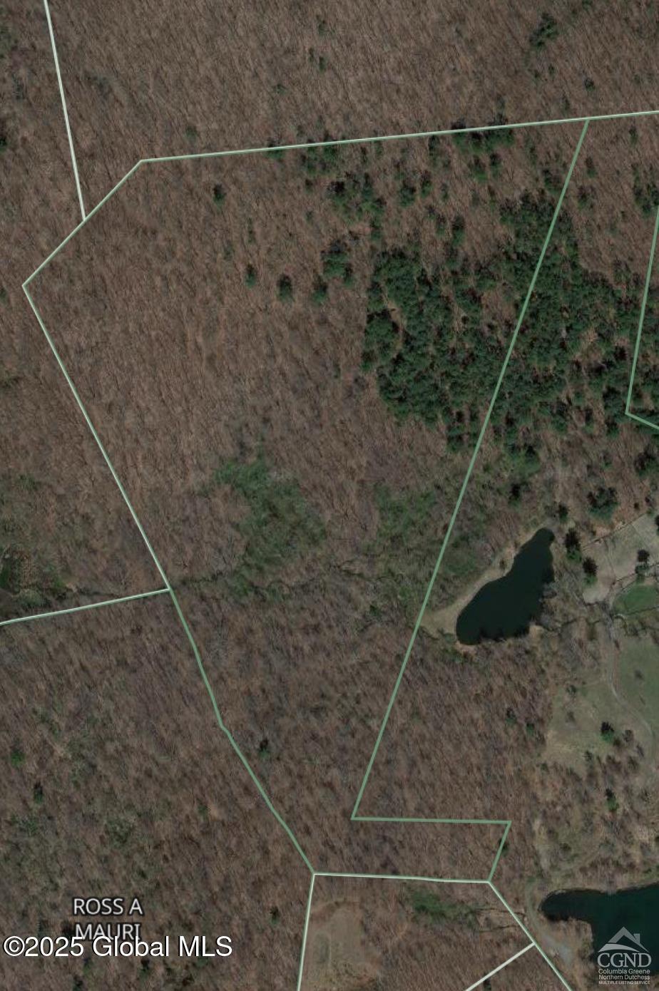 L27.5 Birch Hill Road, Copake, New York image 25