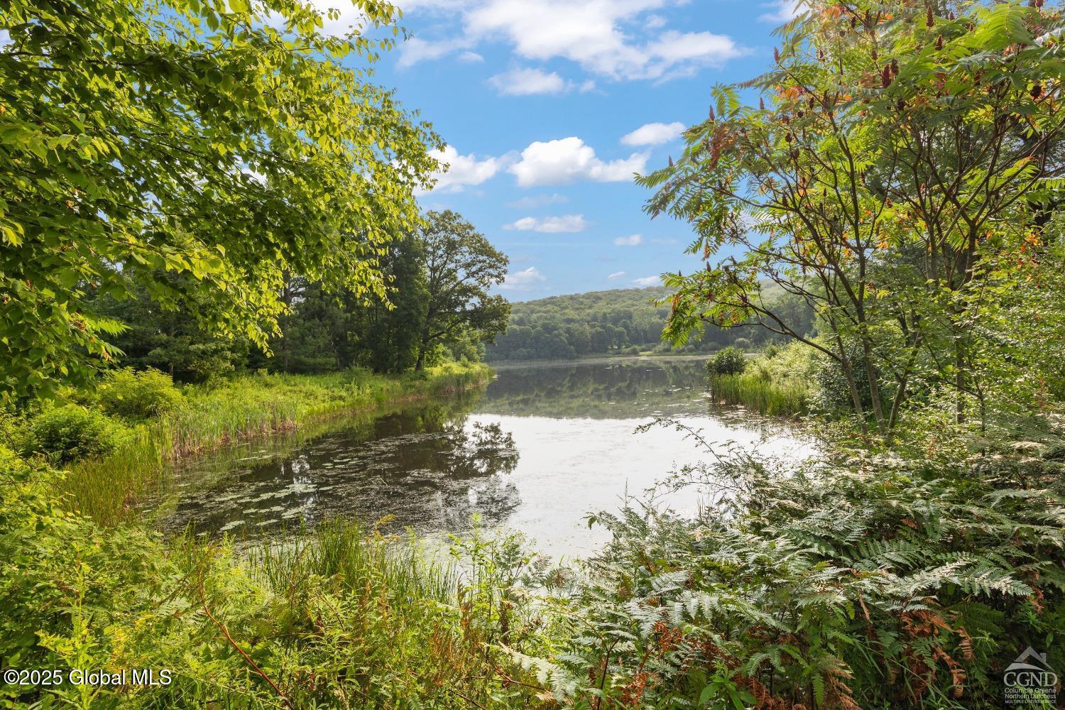 L27.5 Birch Hill Road, Copake, New York image 14