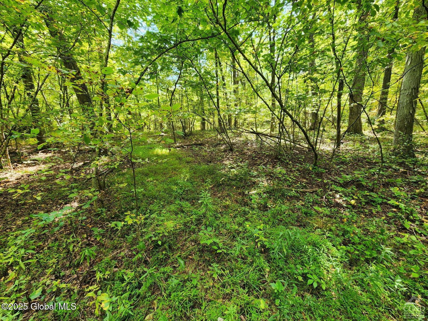 L27.5 Birch Hill Road, Copake, New York image 13