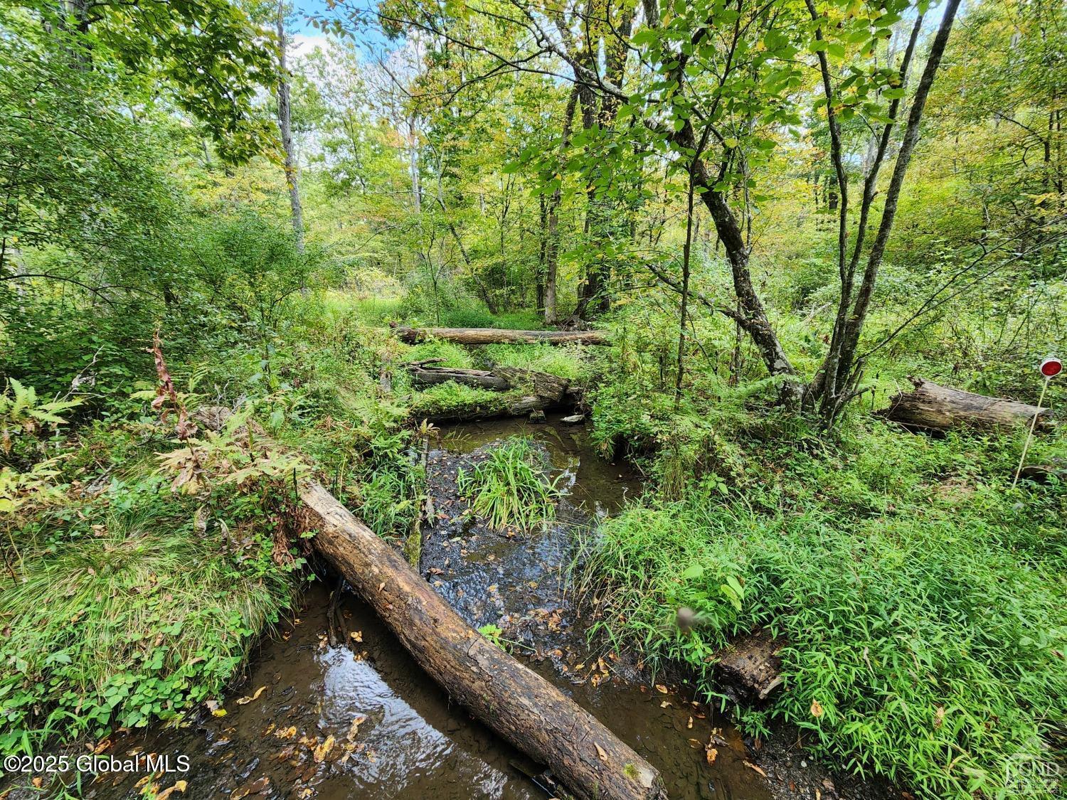 L27.5 Birch Hill Road, Copake, New York image 11