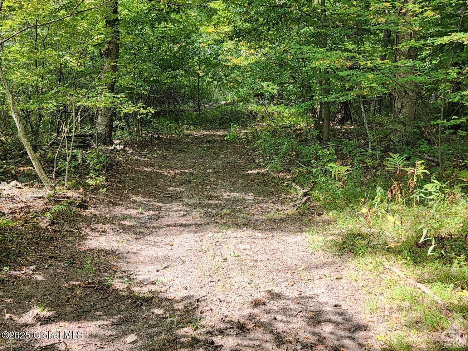 L27.5 Birch Hill Road, Copake, New York image 1