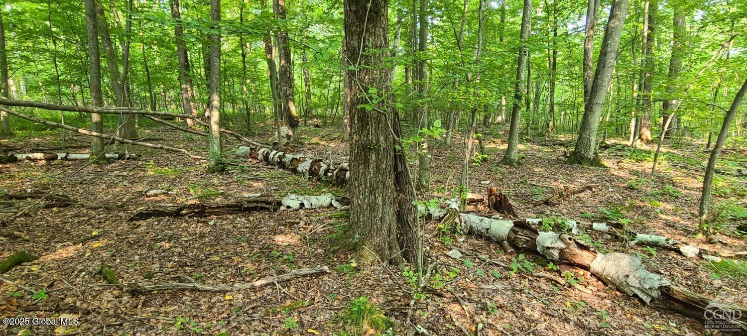 L27.5 Birch Hill Road, Copake, New York image 3