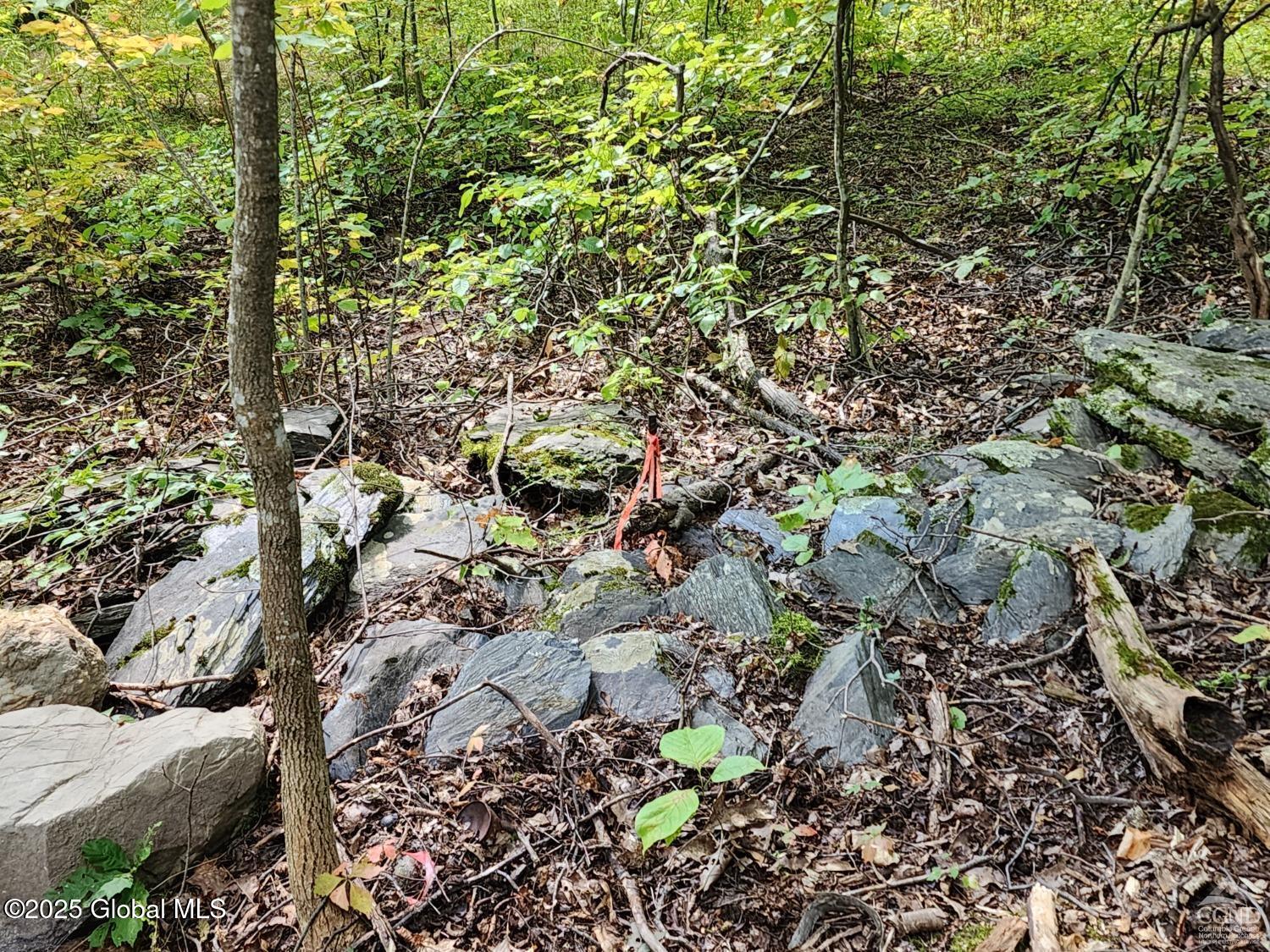 L27.5 Birch Hill Road, Copake, New York image 6