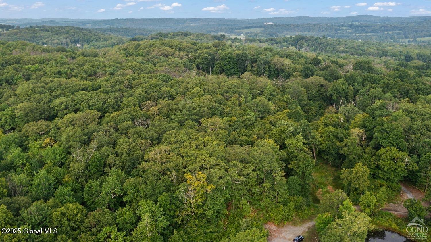 L27.5 Birch Hill Road, Copake, New York image 18