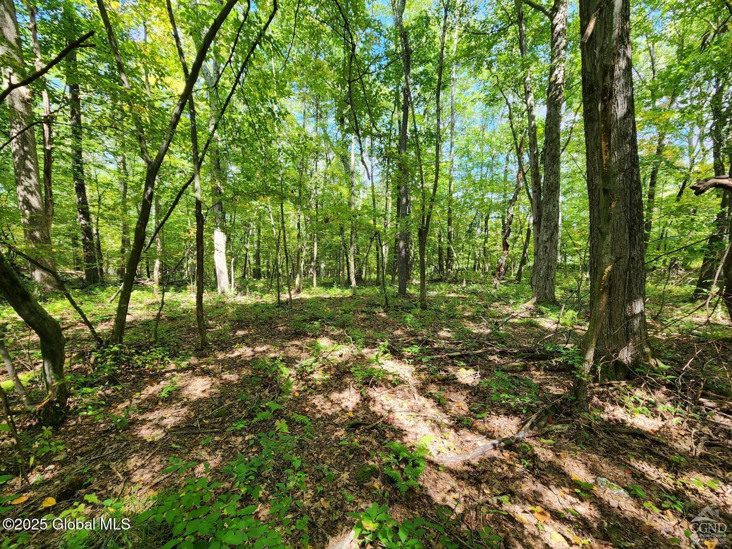 L27.5 Birch Hill Road, Copake, New York image 8